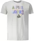 Pánské triko ALPINE PRO ABIC 7 MTSP404 ŠEDÁ